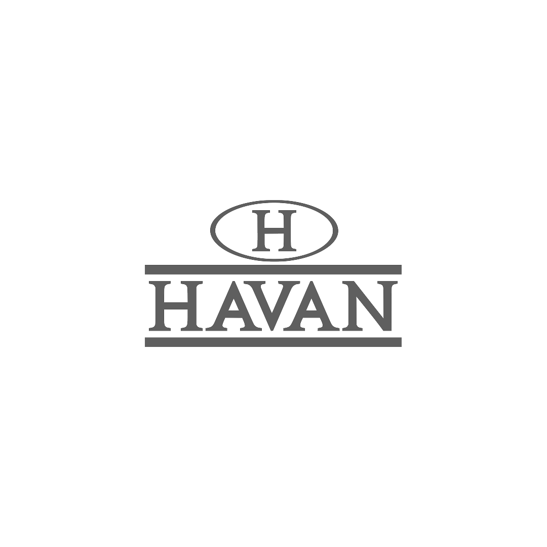 Logo Havan2